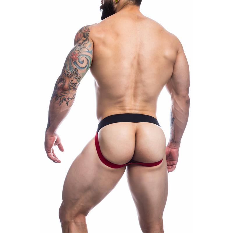 Stripe Pride Jockstrap Pride Flag LGBT