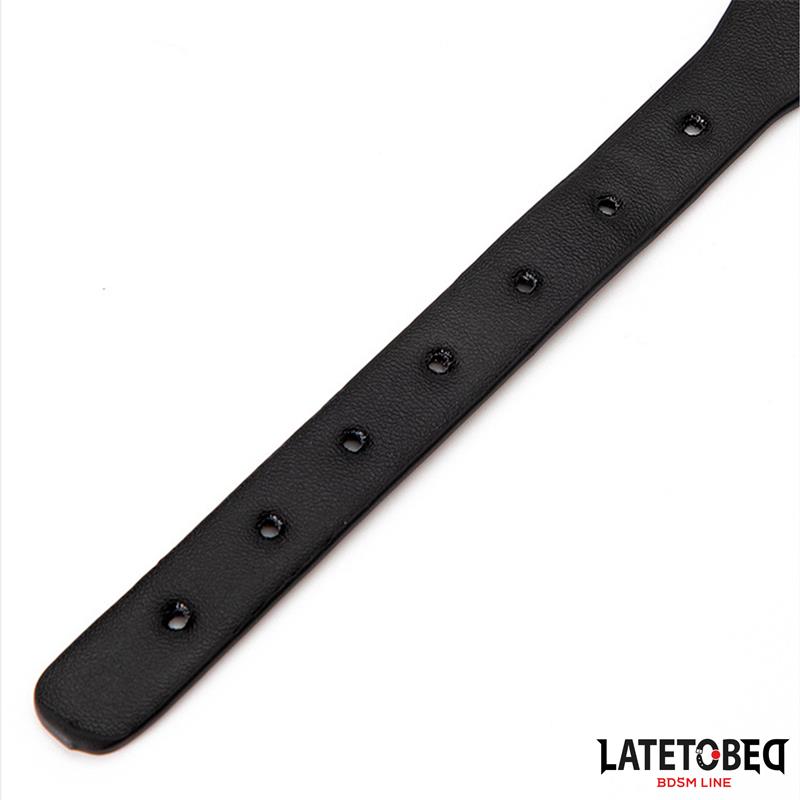 Collar with Bell and Leash