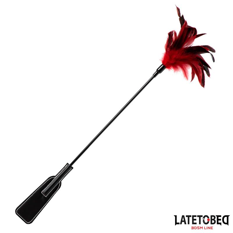 2 in 1 Paddle with feather