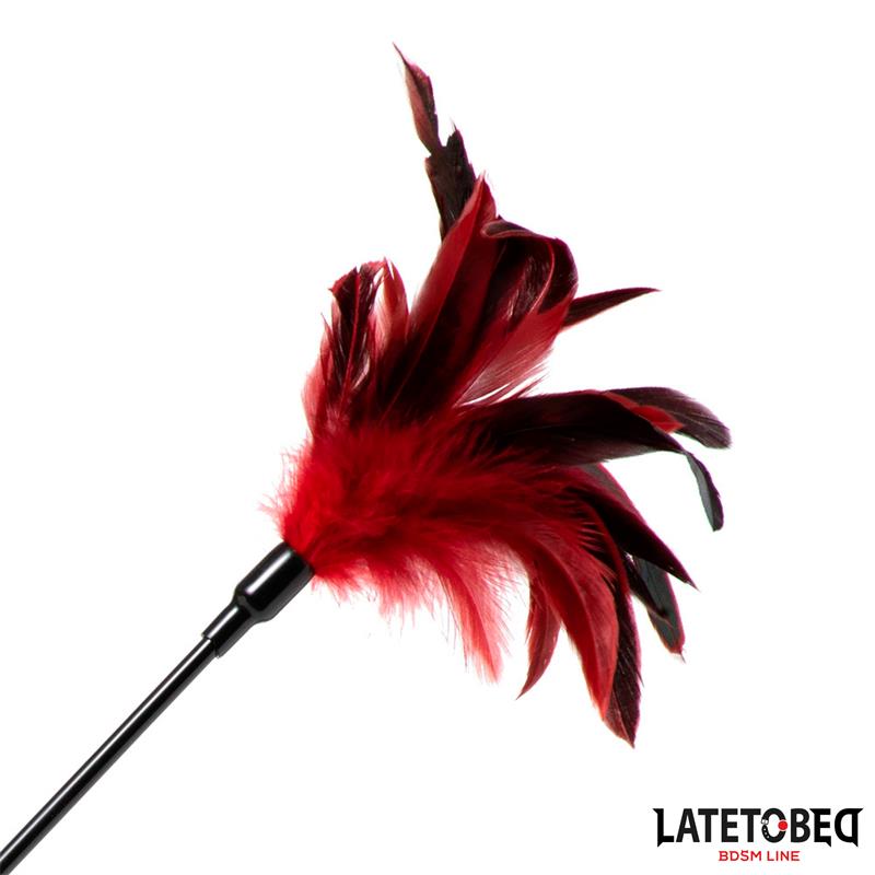 2 in 1 Paddle with feather