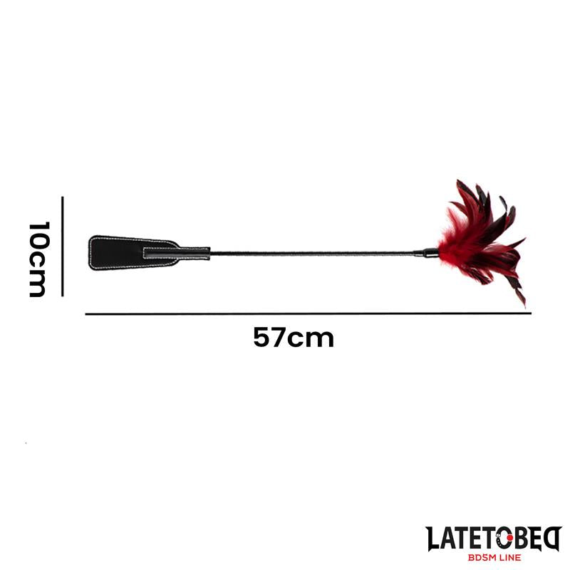 2 in 1 Paddle with feather