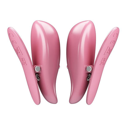 Cailey Nipple Clamps with Vibration and Remote