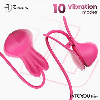 Tickly Nipple Clamps ith Vibration Remote and Necklace with App