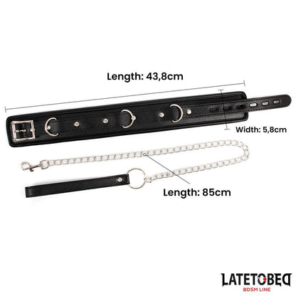 sponge collar with leash