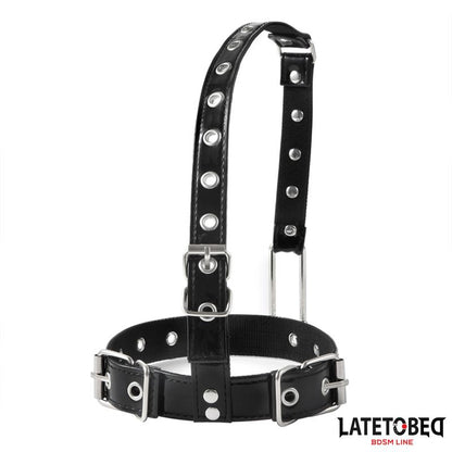 Collar with Nose Hook