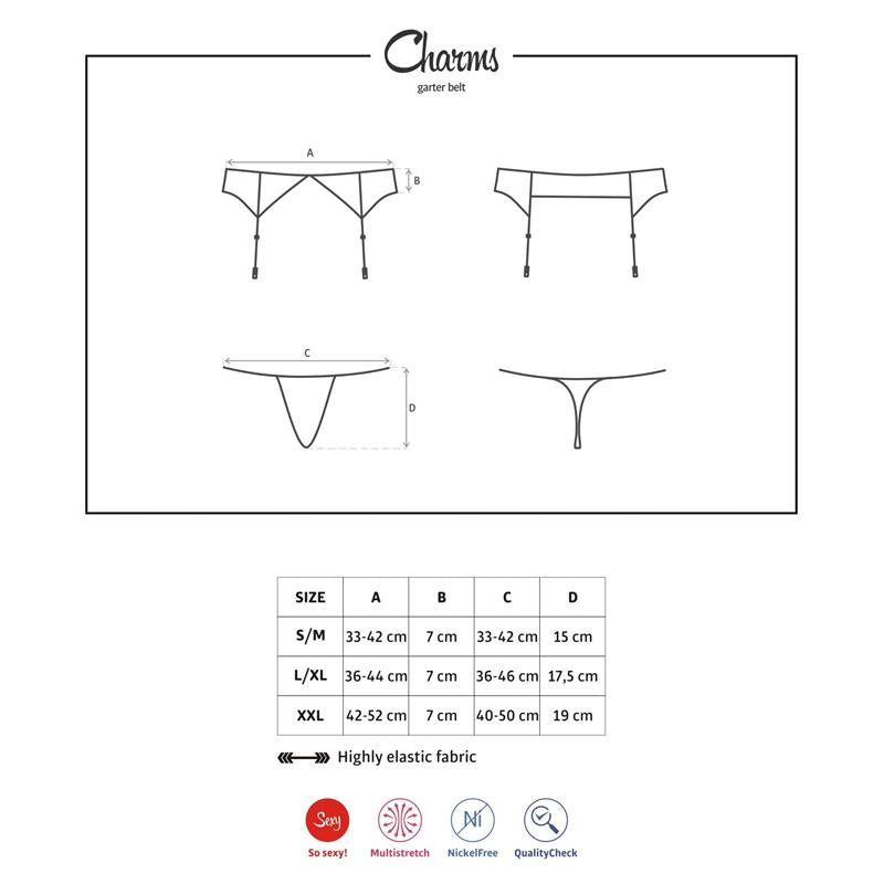 Charms Garter Belt and Thong